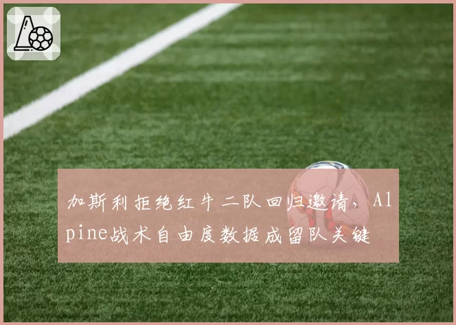 加斯利拒绝红牛二队回归邀请，Alpine战术自由度数据成留队关键