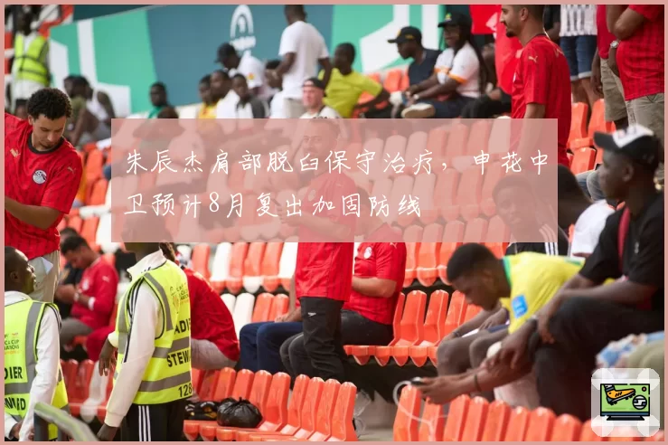 朱辰杰肩部脱臼保守治疗，申花中卫预计8月复出加固防线