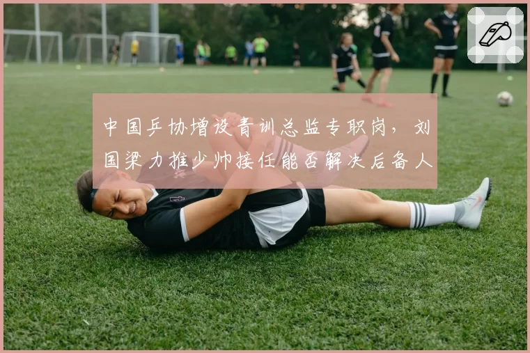 中国乒协增设青训总监专职岗，刘国梁力推少帅接任能否解决后备人才断层