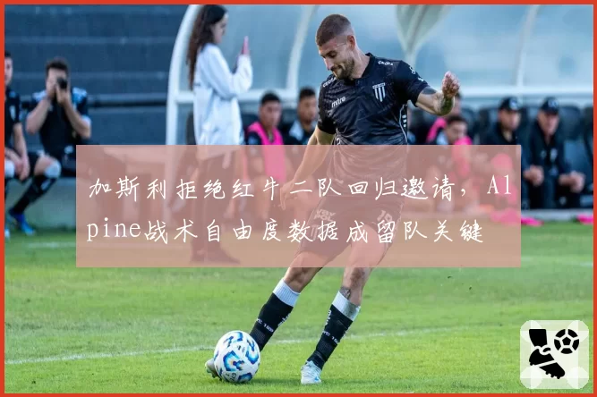 加斯利拒绝红牛二队回归邀请，Alpine战术自由度数据成留队关键