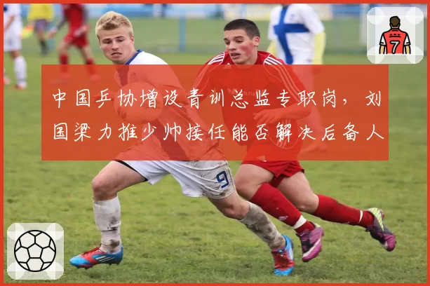 中国乒协增设青训总监专职岗，刘国梁力推少帅接任能否解决后备人才断层