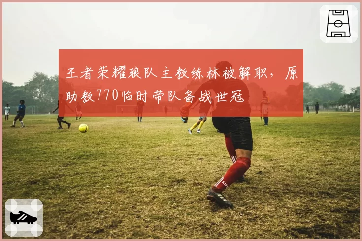 王者荣耀狼队主教练林被解职，原助教770临时带队备战世冠