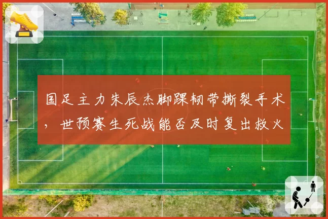 国足主力朱辰杰脚踝韧带撕裂手术，世预赛生死战能否及时复出救火？